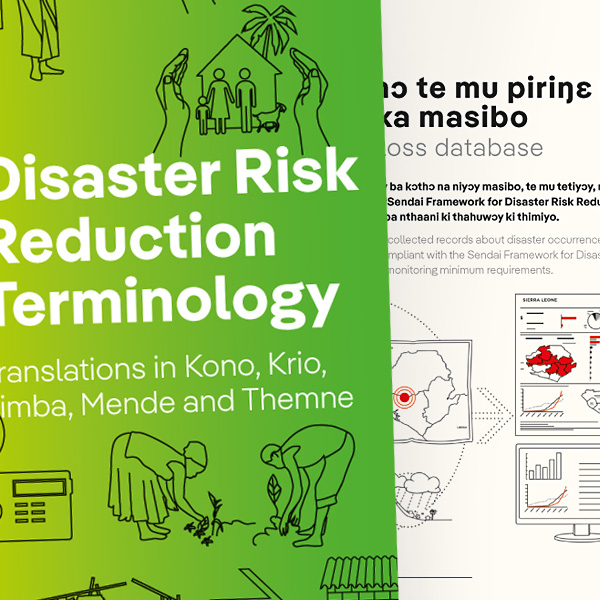 Disaster Risk Reduction Dictionary